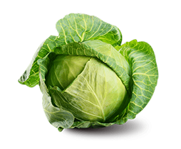 White cabbage