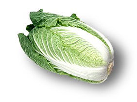 Chinese cabbage