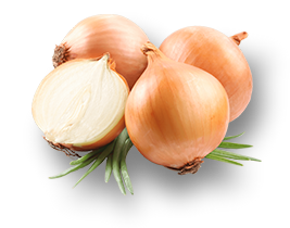 White onion